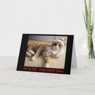 Ho Ho Ho!   from Santa Claws Holiday Card