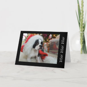 Ho! Ho! ho! Merry Christmas Lola B. Boston Holiday Card
