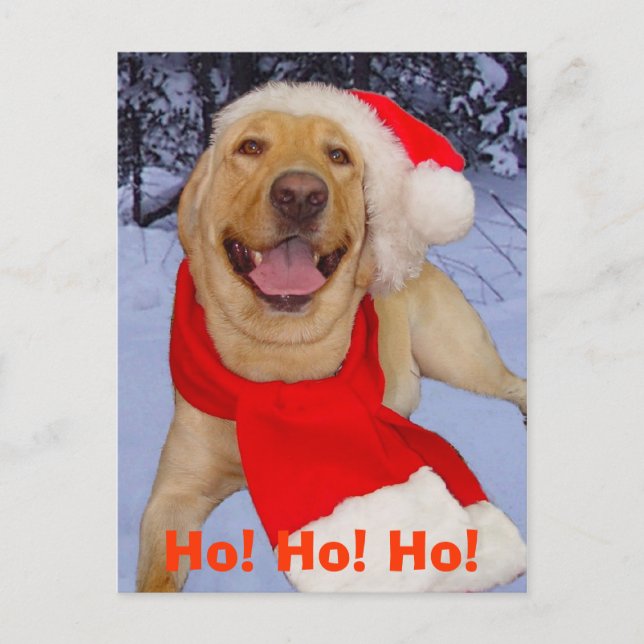 Ho! Ho! Ho! Postcard (Front)