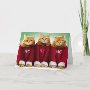 Ho Ho Ho Trois Chats Joyeux Noël Carte de voeux