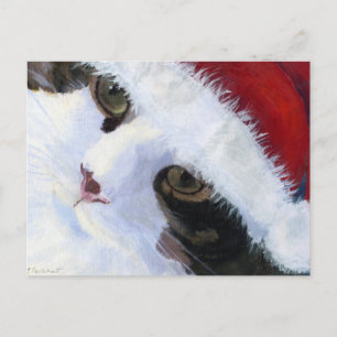 Ho Ho Kitty Cat Postcard