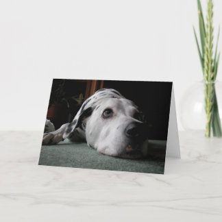 Ho hum Birthday Card