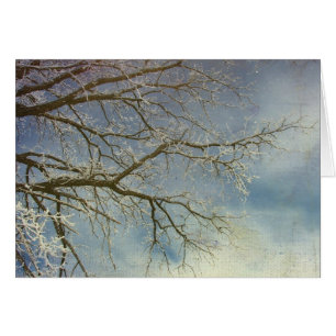 Hoar Frost, Bonne Année !