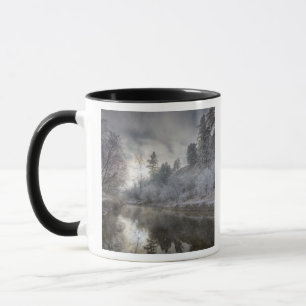 Hoarfrost along a slough at the Kelly Island Mug