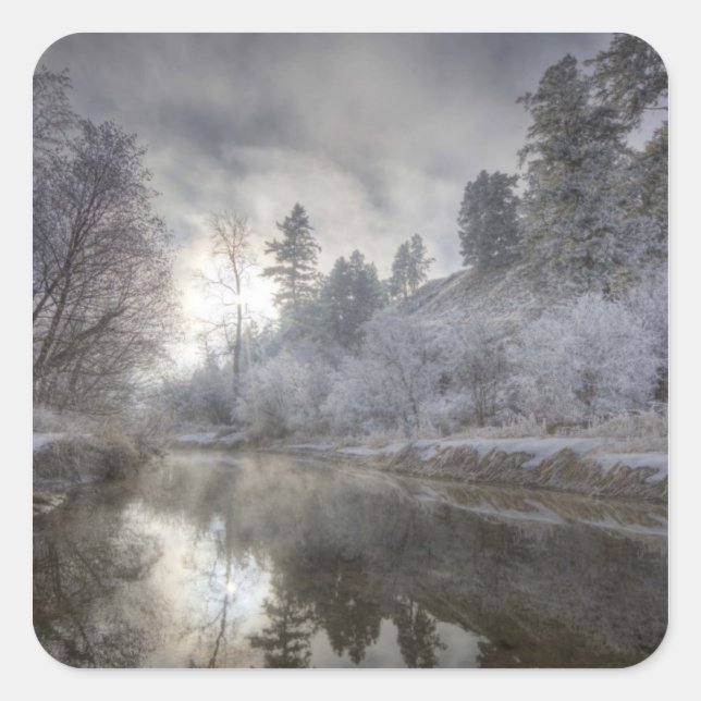 Hoarfrost along a slough at the Kelly Island Square Sticker (Front)