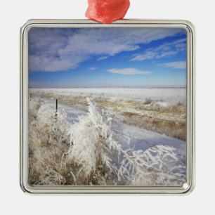 Hoarfrost coats tumbleweed and fenceline near metal ornament