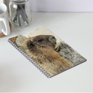 Hoary Marmot Wildlife Photo Notebook