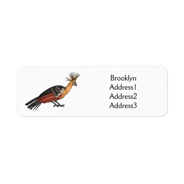 Hoatzin bird cartoon illustration  (Front)