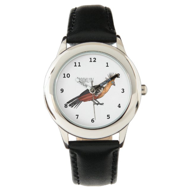 Hoatzin bird cartoon illustration  watch (Front)