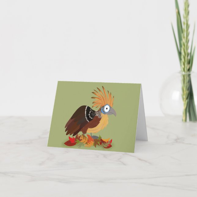 Hoatzin card (Front)