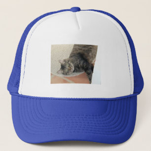 Hobie Cat, Hat
