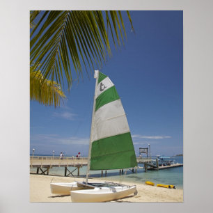 Hobie Cat, Plantation Island Resort Poster