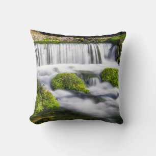 Hodgson Spring Falls Throw Pillow