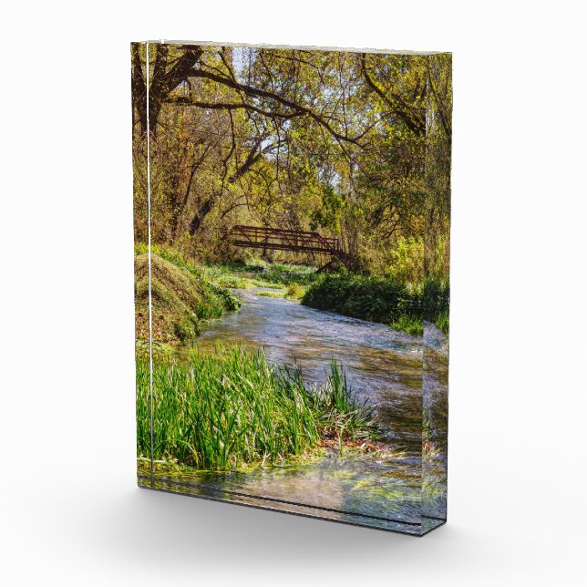 Hodgson Spring Flow Photo Block (Right)