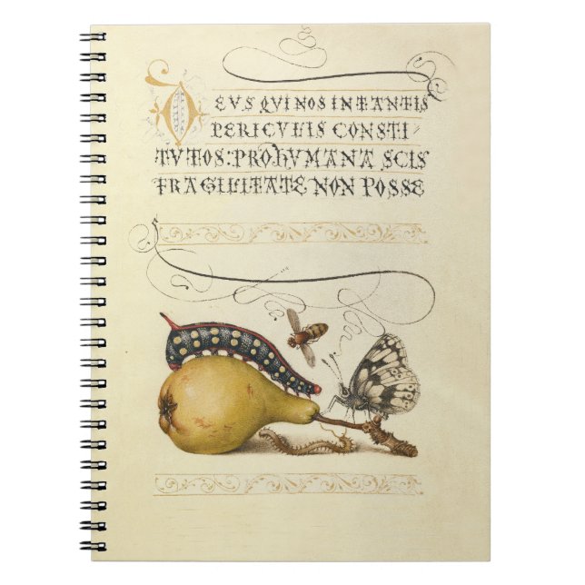 Hoefnagel Vintage Pear & Insects 1500s Renaissance Notebook (Front)