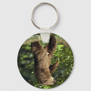 Hoffmann's two-toed sloth keychain