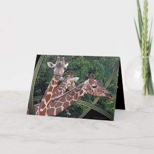 Hoffmans Hawaii Card