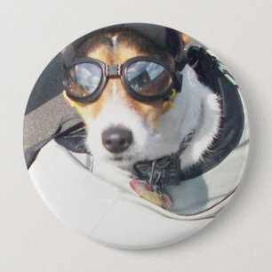 Hog Dog Button