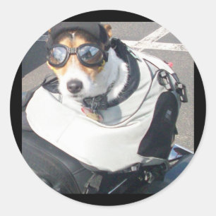 Hog Dog Sticker
