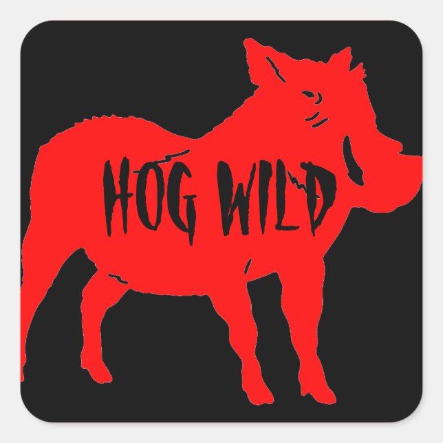 HOG WILD HELMET STICKERS PKG DE 20 (Devant)