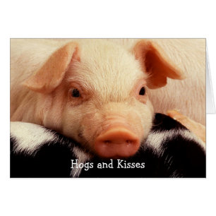 Hogs and Kisses