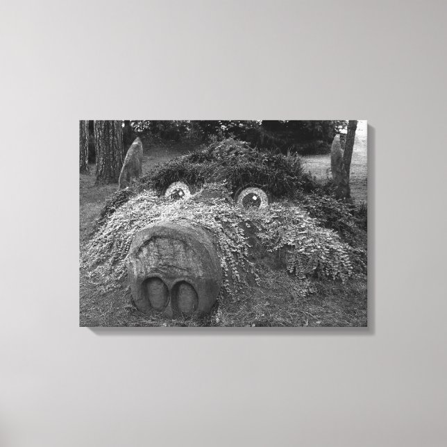 Hogs Head, Bute Park, Cardiff Canvas Print (Front)