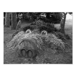 Hogs Head, Bute Park, Cardiff Photo Print