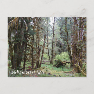 Hoh Rainforest, État de Washington, Carte postale