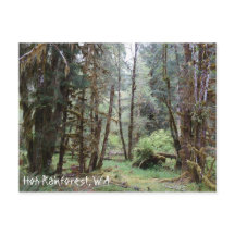 Hoh Rainforest, État de Washington, Carte postale
