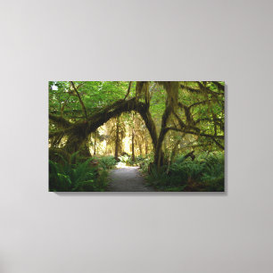 Hoh Rainforest Olympic Penninsula Washington Canvas Print