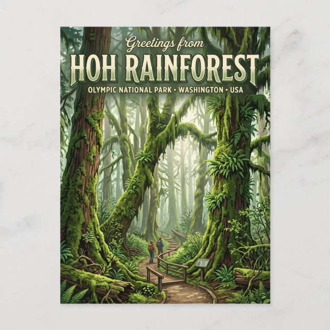 Hoh Rainforest Washington Postcard (Front)