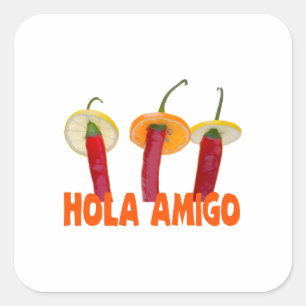 Hola Amigo Square Sticker