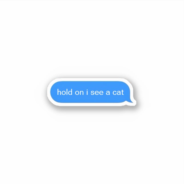 Hold on i see a cat (Front)