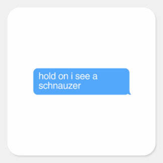 Hold On I See A Schnauzer Square Sticker