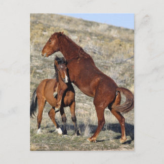 Hold On Postcard