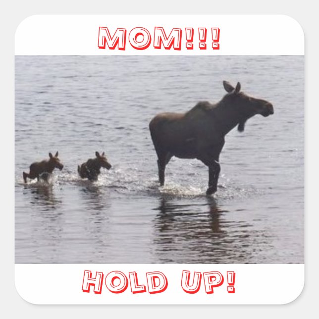 Hold Up!!! Moose Stickers (Front)