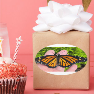Holding a monarch butterfly oval sticker