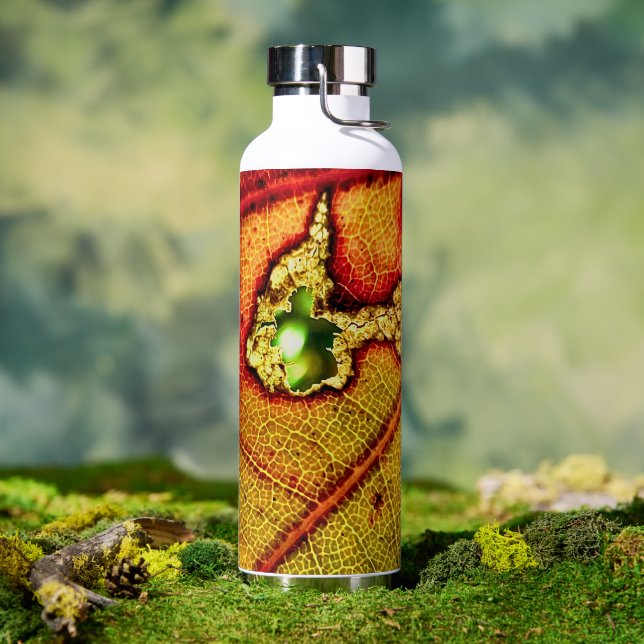 Hole In Wing Water Bottle (Outdoor)