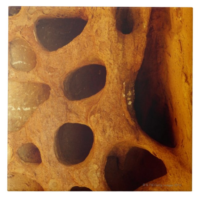 Holes in rock tile (Front)