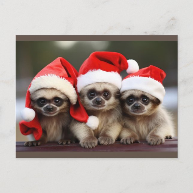 Holiday Animal Postcards  (Front)
