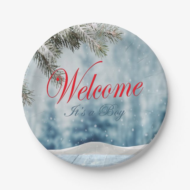 Holiday Baby Shower Paper Plate (Front)