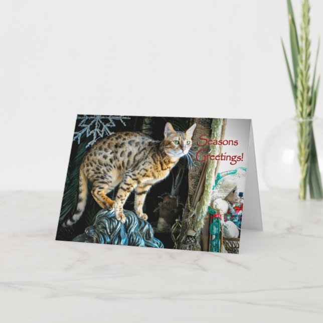 Holiday Bengal Cat Greeting Card (Front)