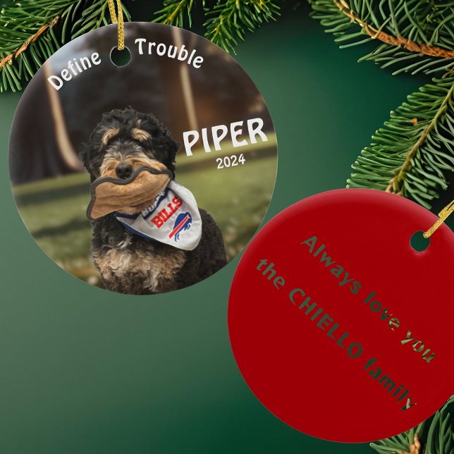 Holiday Bernese Mountain Dog Photo Ornament (Creator Uploaded)