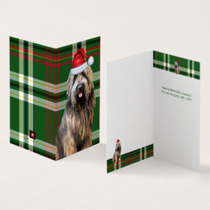Holiday Briard Shepherd Dog Green Plaid Christmas