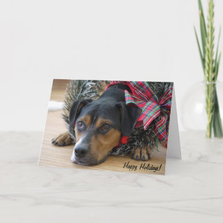 Holiday Card "Santa's Cookies?"