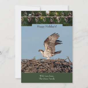Holiday Card with an Osprey in the nest