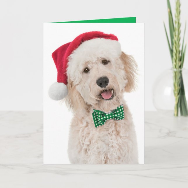 Holiday Card with Golden Doodle (Front)