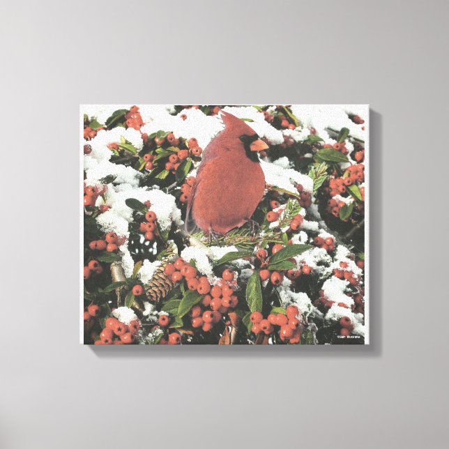 Holiday Cardinal Collage Stretched Canvas Art (Front)