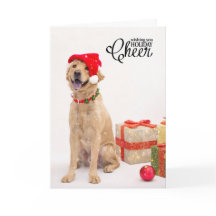 Holiday Cards