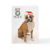 Holiday Cards